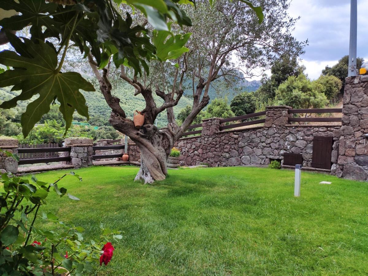 Villa Casa Bados Dorgali Esterno foto